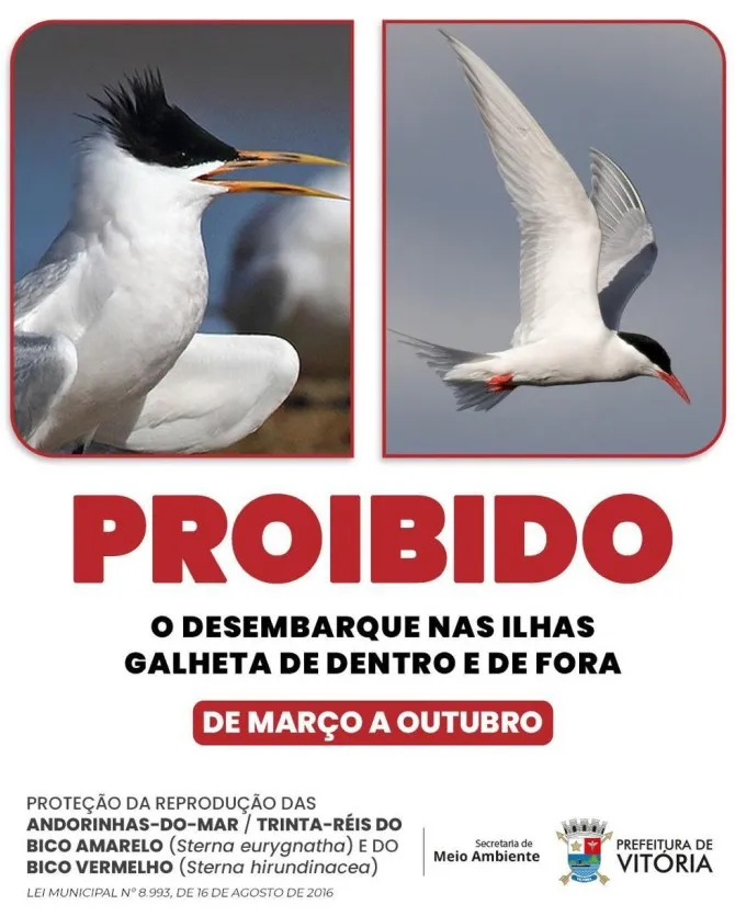 Acesso às Ilhas Galheta segue proibido até 31 de outubro para proteger aves marinhas.